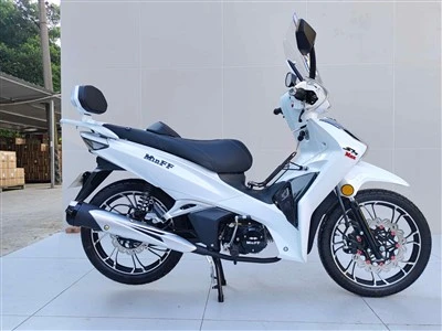 Vélos à moteur pour adultes